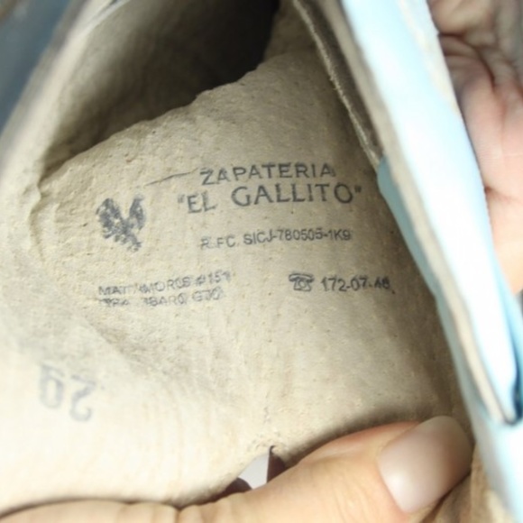 BEAUTIFULL BLUE OSTRICH - Picture 7 of 7